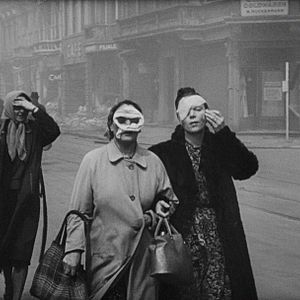 Foto Sobre la historia natural de la destrucción