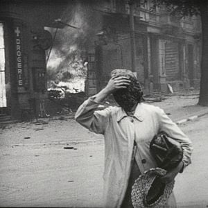 Foto Sobre la historia natural de la destrucción