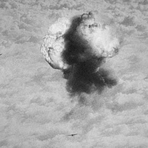 Foto Sobre la historia natural de la destrucción