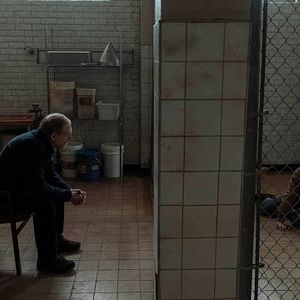 Foto Scott Shepherd (II)