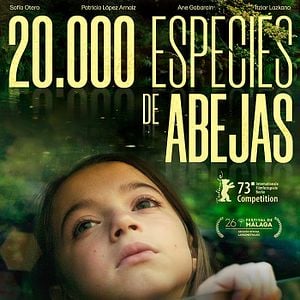 Foto 20.000 especies de abejas