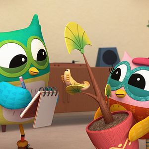 Foto Diario de una lechuza