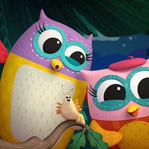 Foto Diario de una lechuza