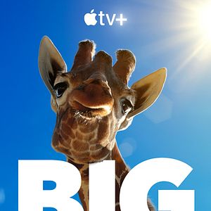 Foto Animales a lo grande