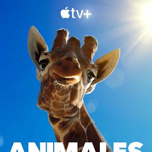 Foto Animales a lo grande