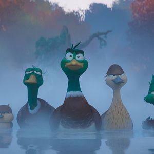 Foto Migración. Un viaje patas arriba