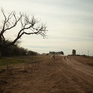 Foto Trenque Lauquen parte I