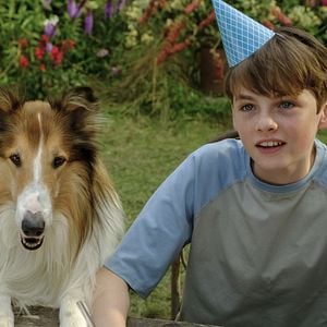 Foto Lassie (Una nueva aventura)
