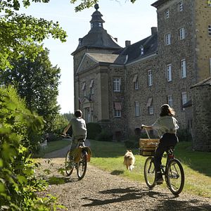 Foto Lassie (Una nueva aventura)