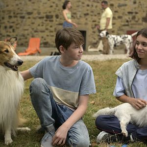Foto Lassie (Una nueva aventura)