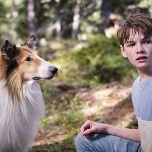 Foto Lassie (Una nueva aventura)