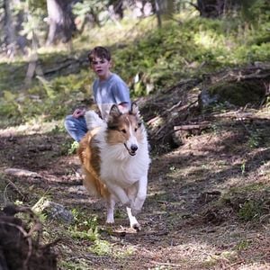 Foto Lassie (Una nueva aventura)