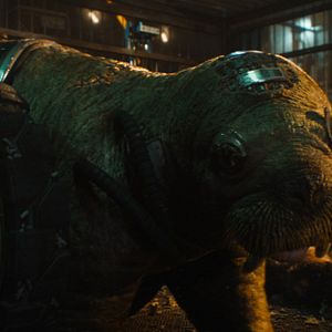 Foto Guardianes de la Galaxia: Volumen 3