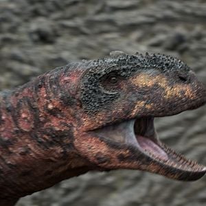 Foto Planeta Prehistórico