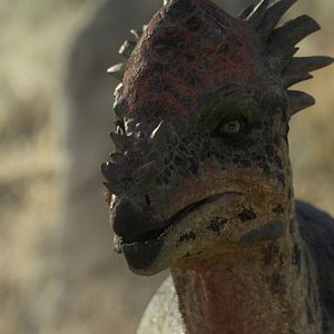 Foto Planeta Prehistórico