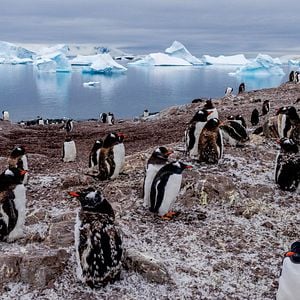 Foto Nuestro planeta