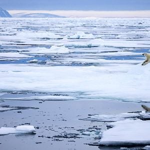Foto Nuestro planeta