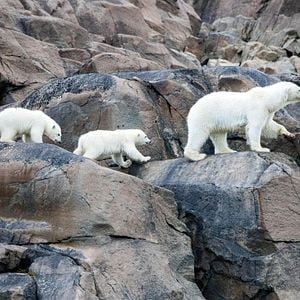 Foto Nuestro planeta