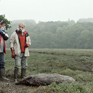 Foto Pasquale D'Inca