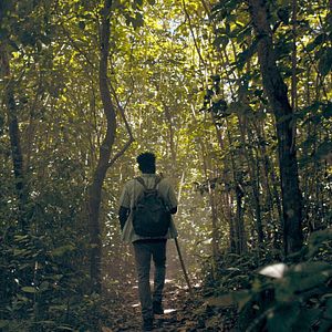 Foto William Jackson Harper