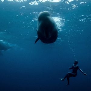 Foto La inspiración más profunda