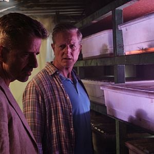 Foto André Babikian