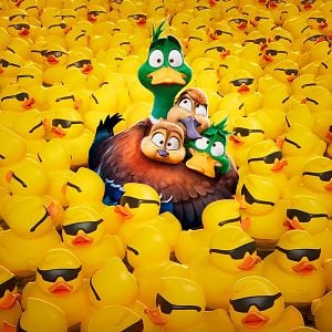 Foto Migración. Un viaje patas arriba