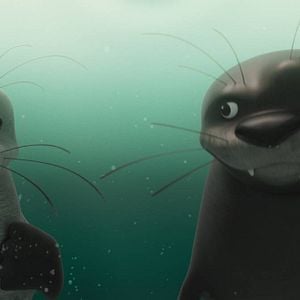 Foto Katak, la pequeña ballena