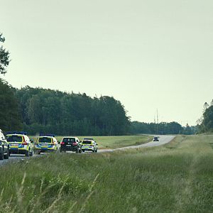 Foto Un día y medio