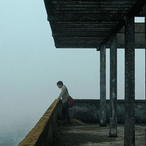 Foto El árbol de las mariposas doradas