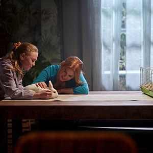 Foto Un lobo como yo