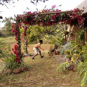 Foto Thabo y el caso del rinoceronte