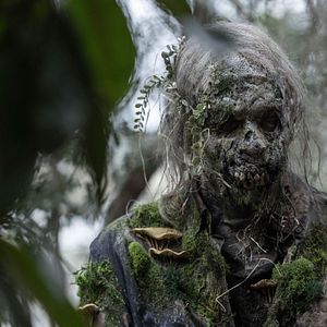 Foto Fear The Walking Dead