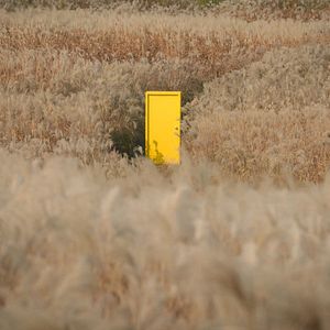 Foto Puerta Amarilla: Un cineclub de pelis B en los 90