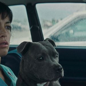 Foto Vincent debe morir