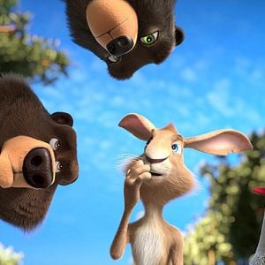 Foto Operación bebé oso