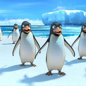 Foto Operación bebé oso