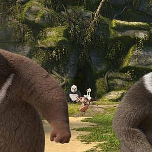 Foto Operación bebé oso