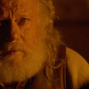 Foto El pacto de los lobos