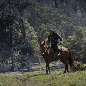Foto El reino del planeta de los simios