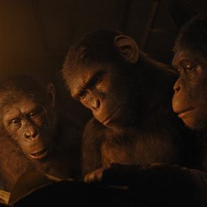 Foto El reino del planeta de los simios