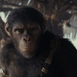 Foto El reino del planeta de los simios