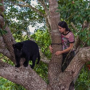 Foto Emma y el jaguar negro