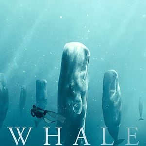 Foto Ballenas con Steve Backshall