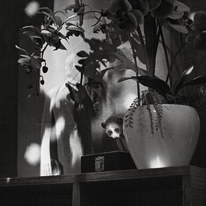 Foto Cu Li nunca llora