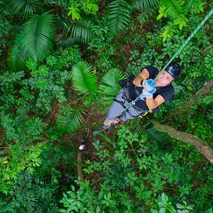 Foto Sonidos terrestres