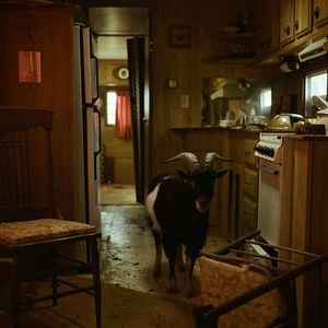 Foto The Human Hibernation