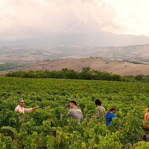 Foto Eugene Levy, el antiviajero
