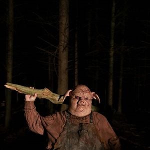 Foto Winnie the Pooh 2: El bosque sangriento