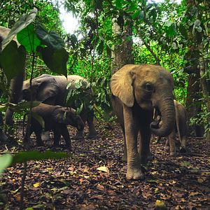 Foto Nuestro mundo lleno de vida